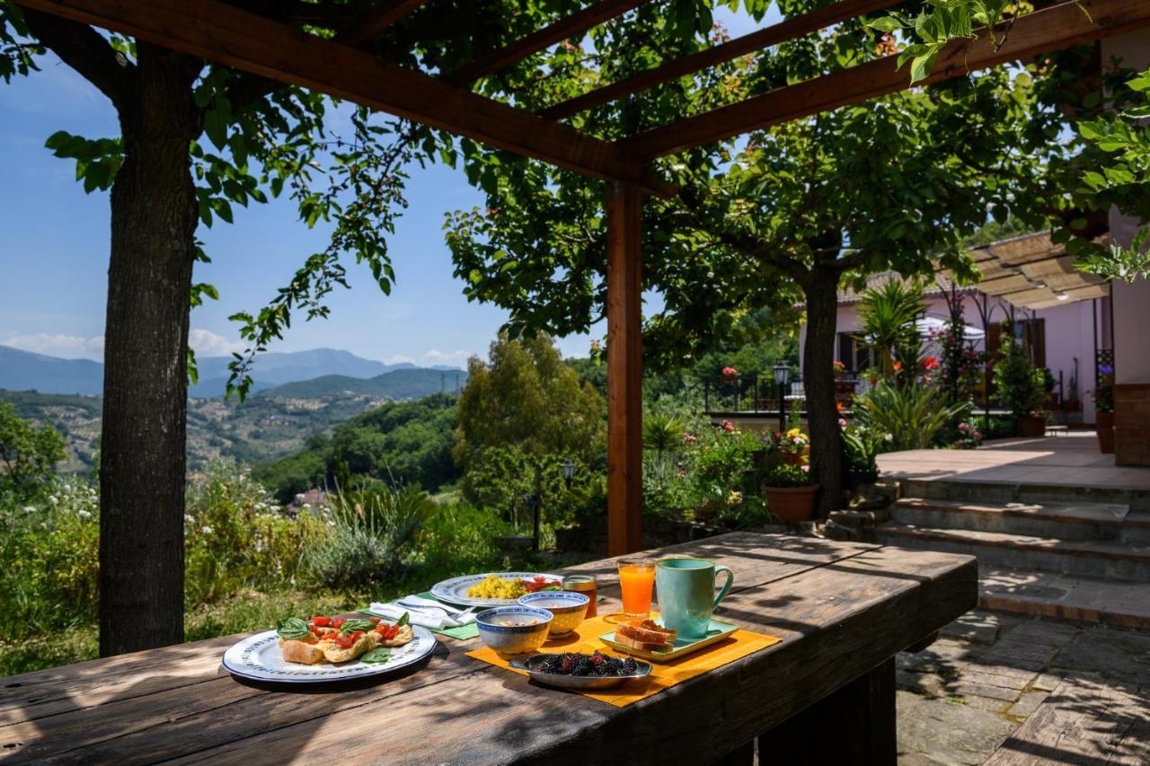 B&B Albachiara Casa Di Campagna Ogliastro Cilento Exteriör bild