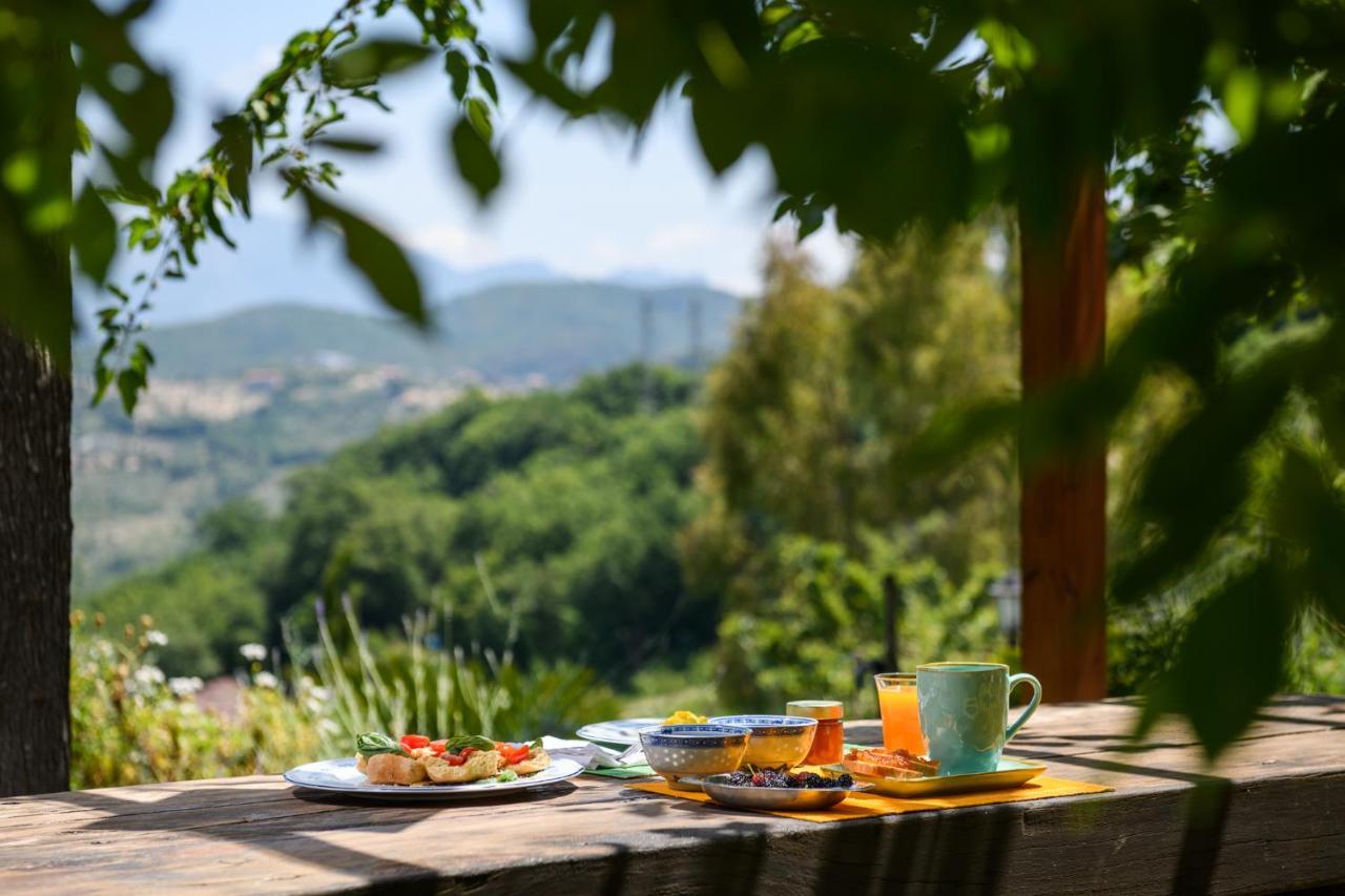 B&B Albachiara Casa Di Campagna Ogliastro Cilento Exteriör bild