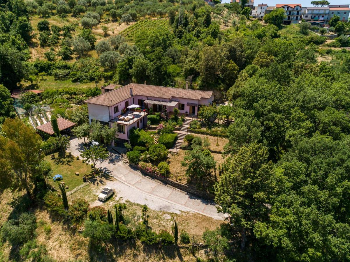 B&B Albachiara Casa Di Campagna Ogliastro Cilento Exteriör bild