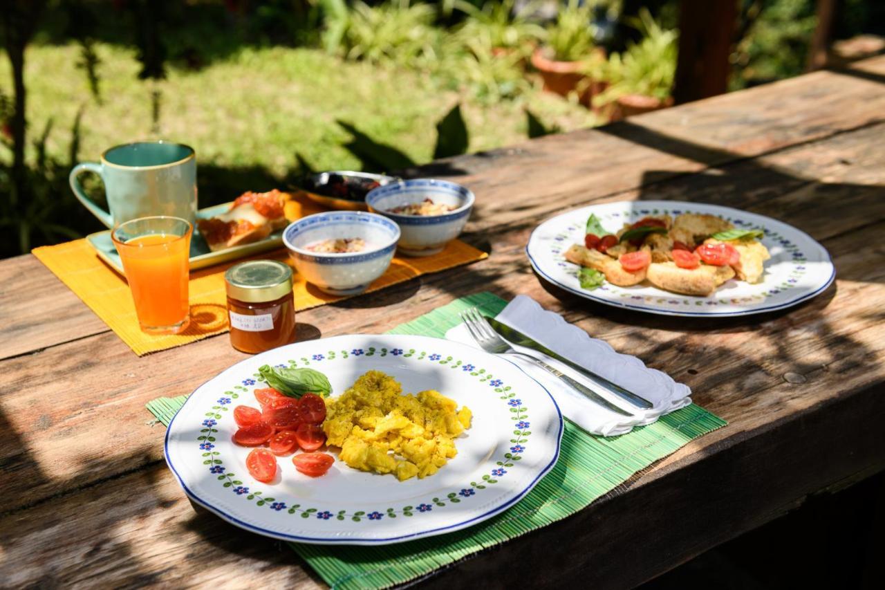 B&B Albachiara Casa Di Campagna Ogliastro Cilento Exteriör bild