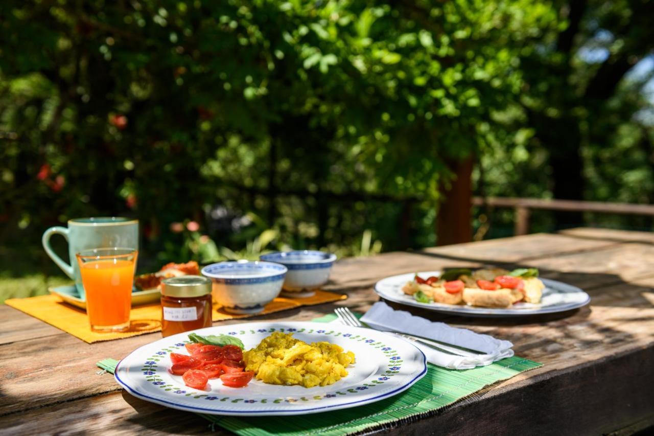 B&B Albachiara Casa Di Campagna Ogliastro Cilento Exteriör bild