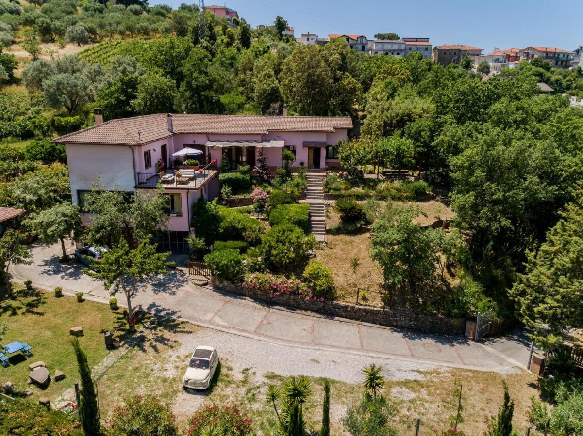 B&B Albachiara Casa Di Campagna Ogliastro Cilento Exteriör bild