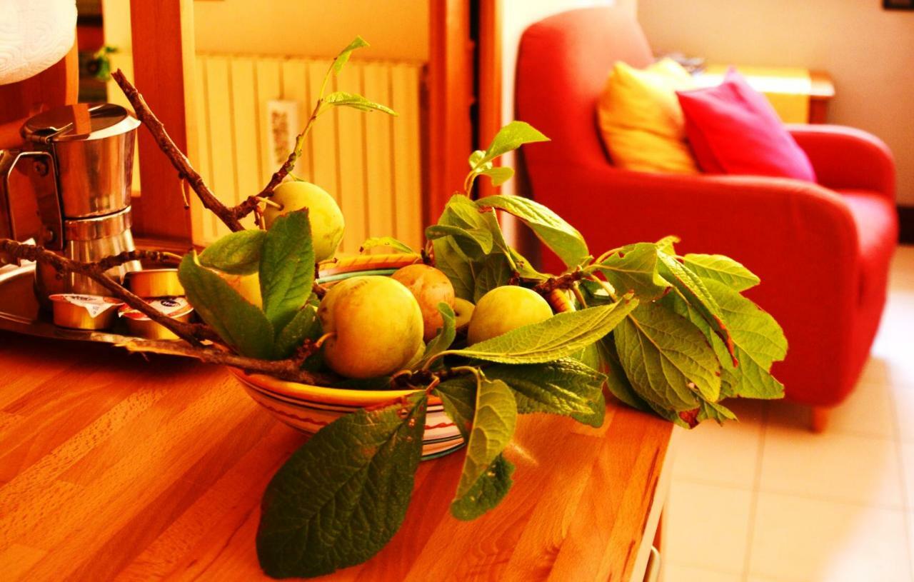 B&B Albachiara Casa Di Campagna Ogliastro Cilento Exteriör bild
