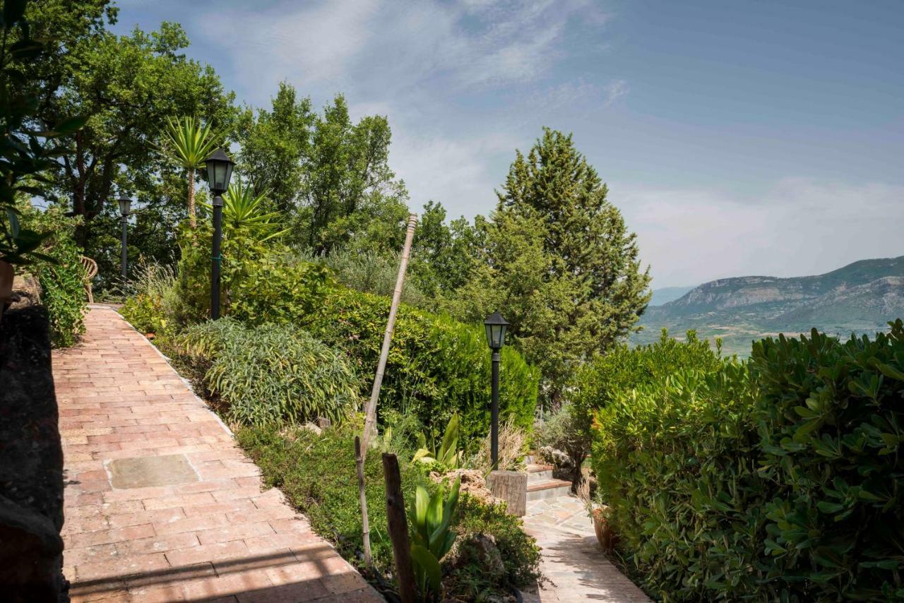 B&B Albachiara Casa Di Campagna Ogliastro Cilento Exteriör bild